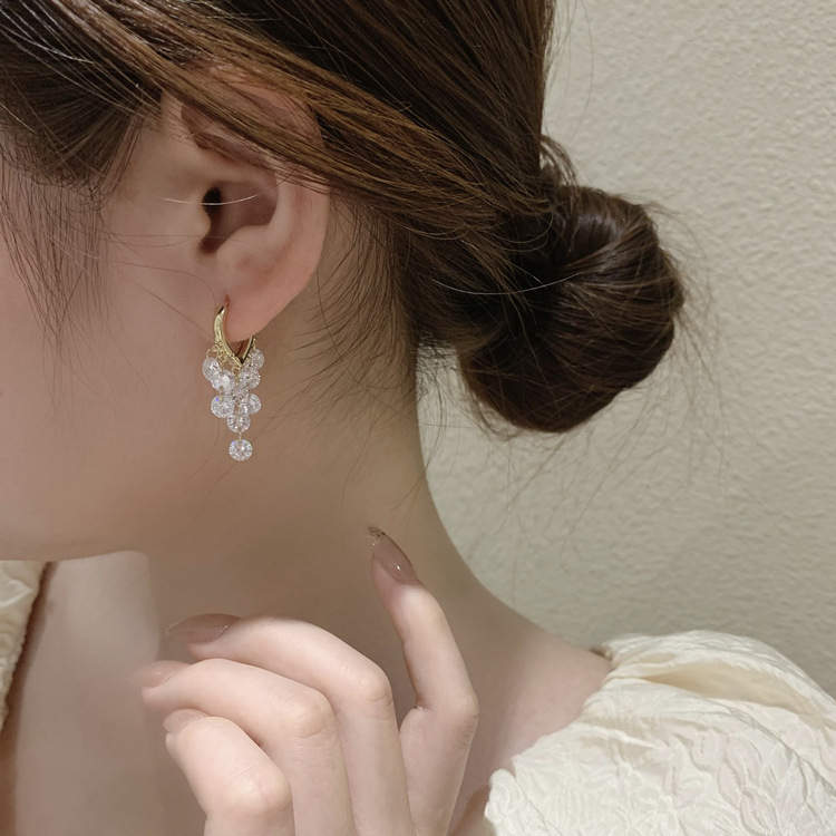 Crystal Tassel Dangle Earrings